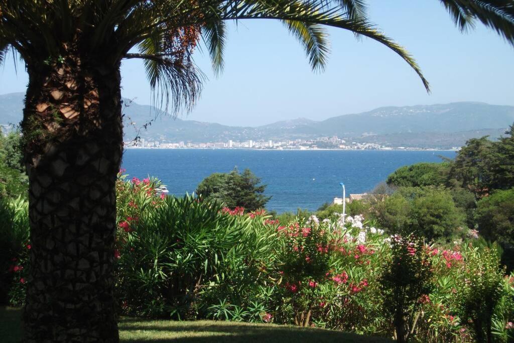 Briloc Duplex à 150m De La Plage. Appartement